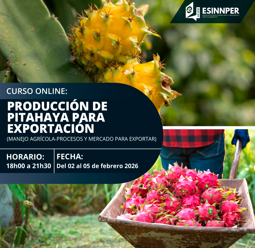 PITAHAYA 3