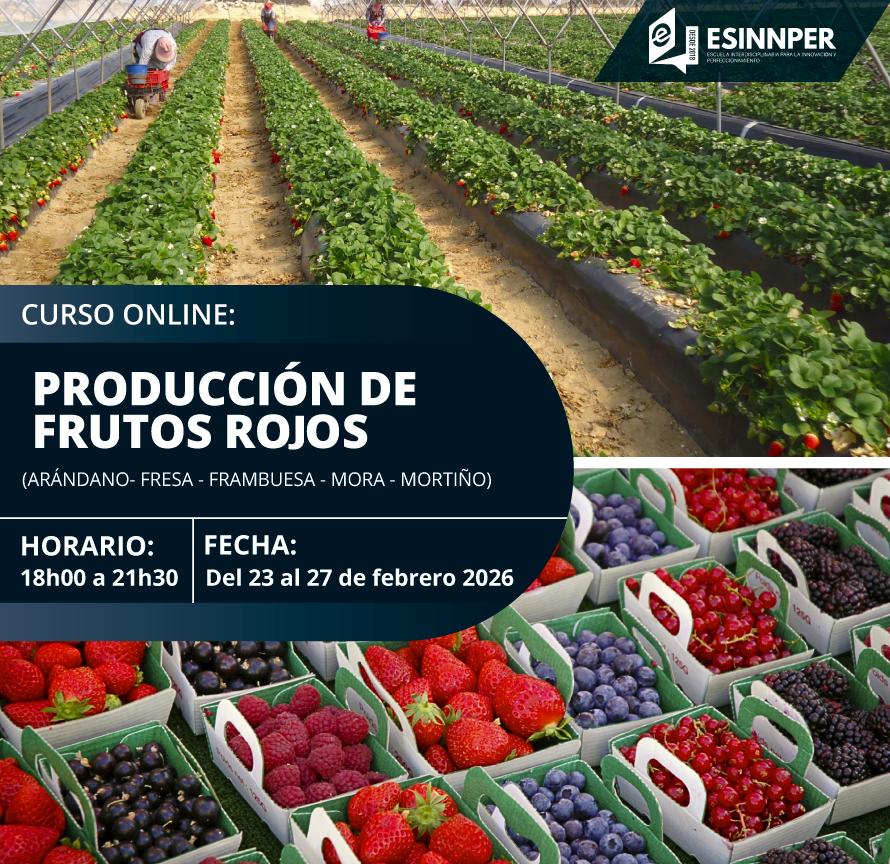 FRUTOS ROJOS